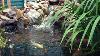 Tetra Pond Cpx5000 Cpx7000 Cpx9000 Waterfall Water Course Pump Fish Koi